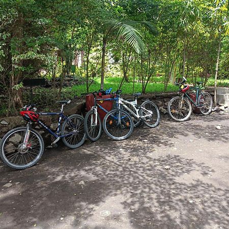 Shamba Hostel Usa River Εξωτερικό φωτογραφία