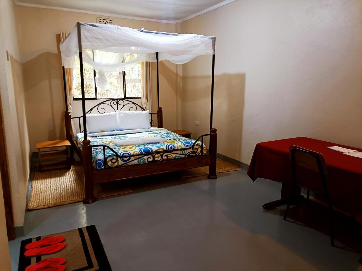 Shamba Hostel Usa River Εξωτερικό φωτογραφία