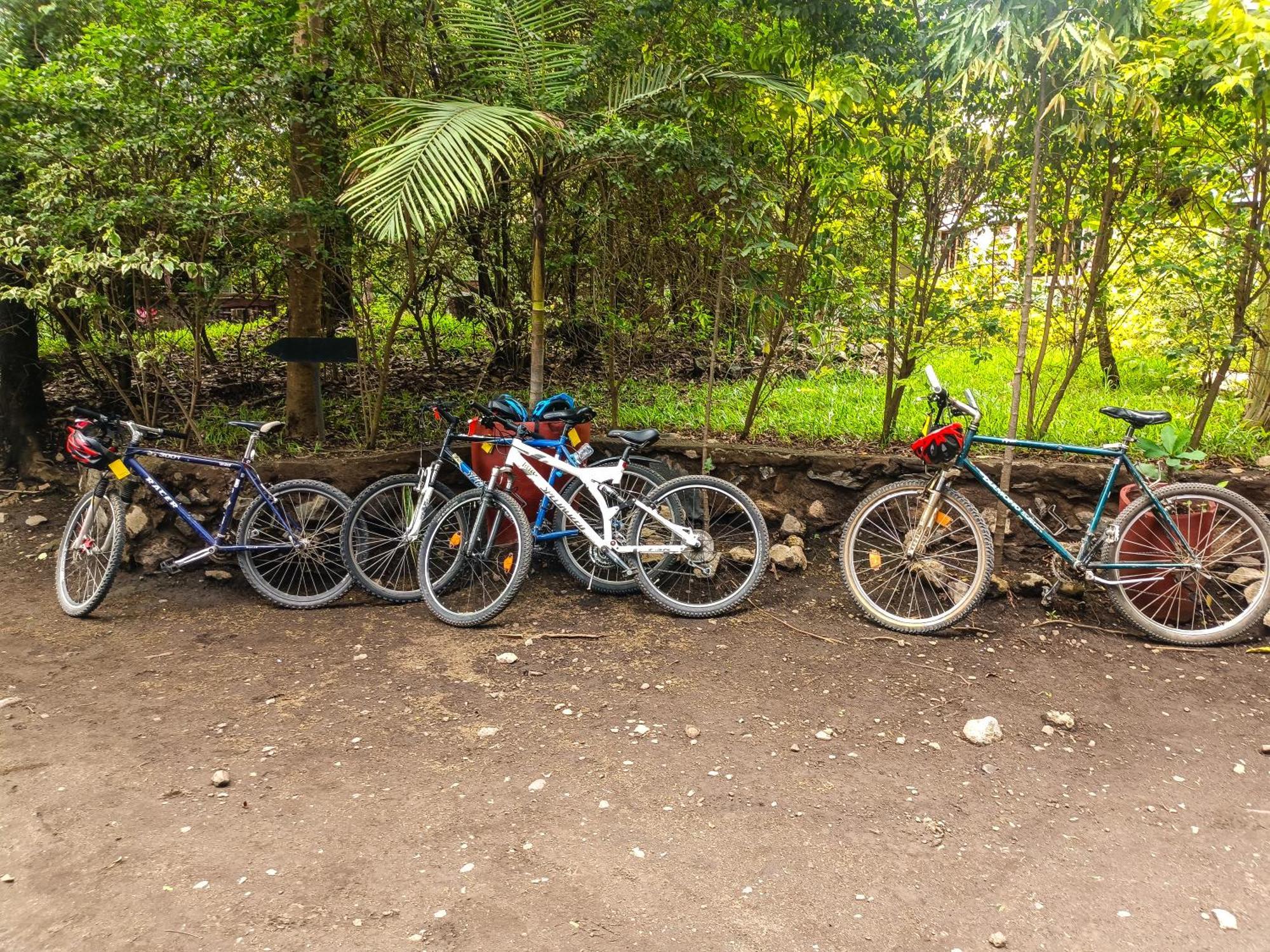 Shamba Hostel Usa River Εξωτερικό φωτογραφία