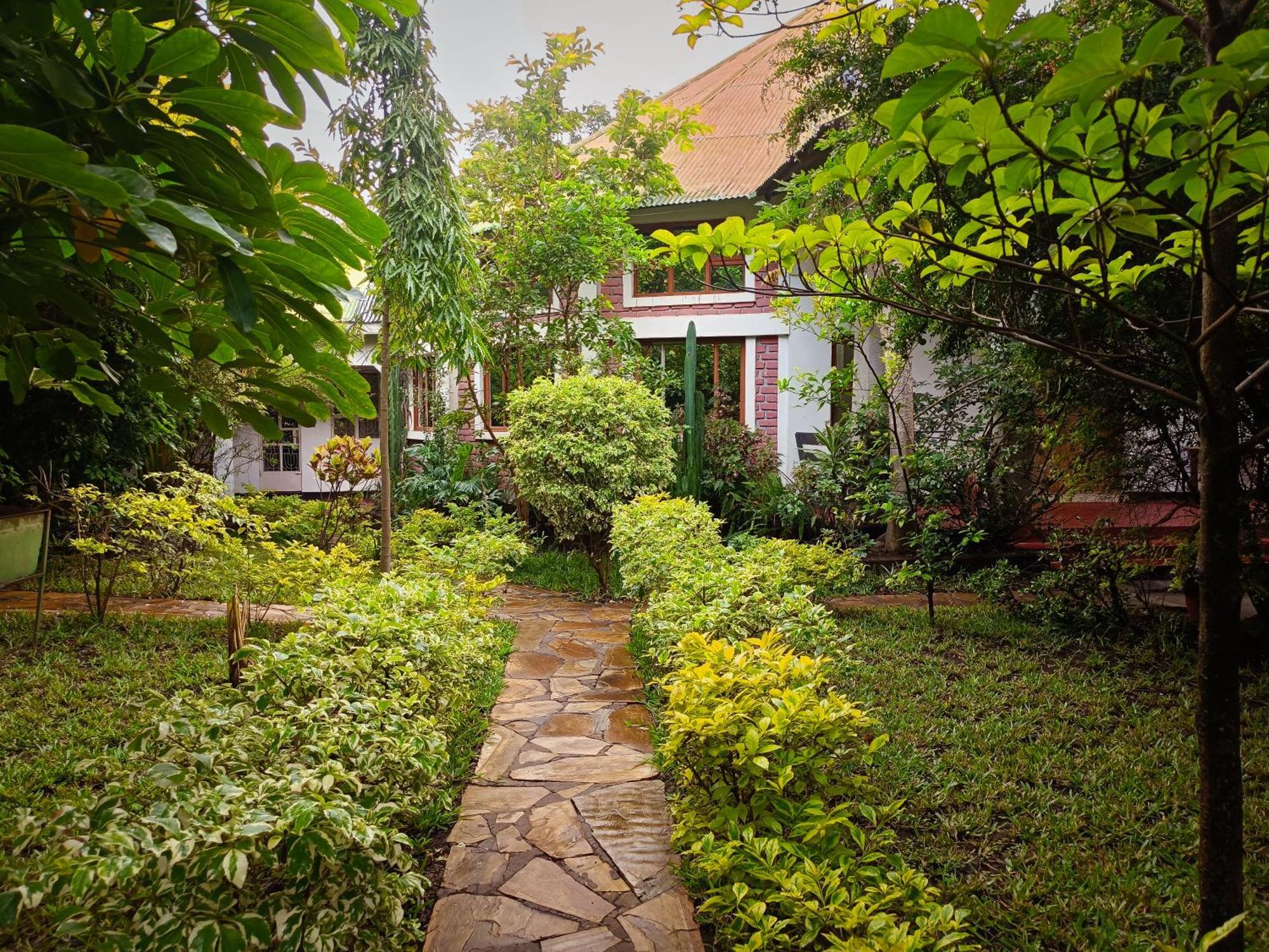 Shamba Hostel Usa River Εξωτερικό φωτογραφία