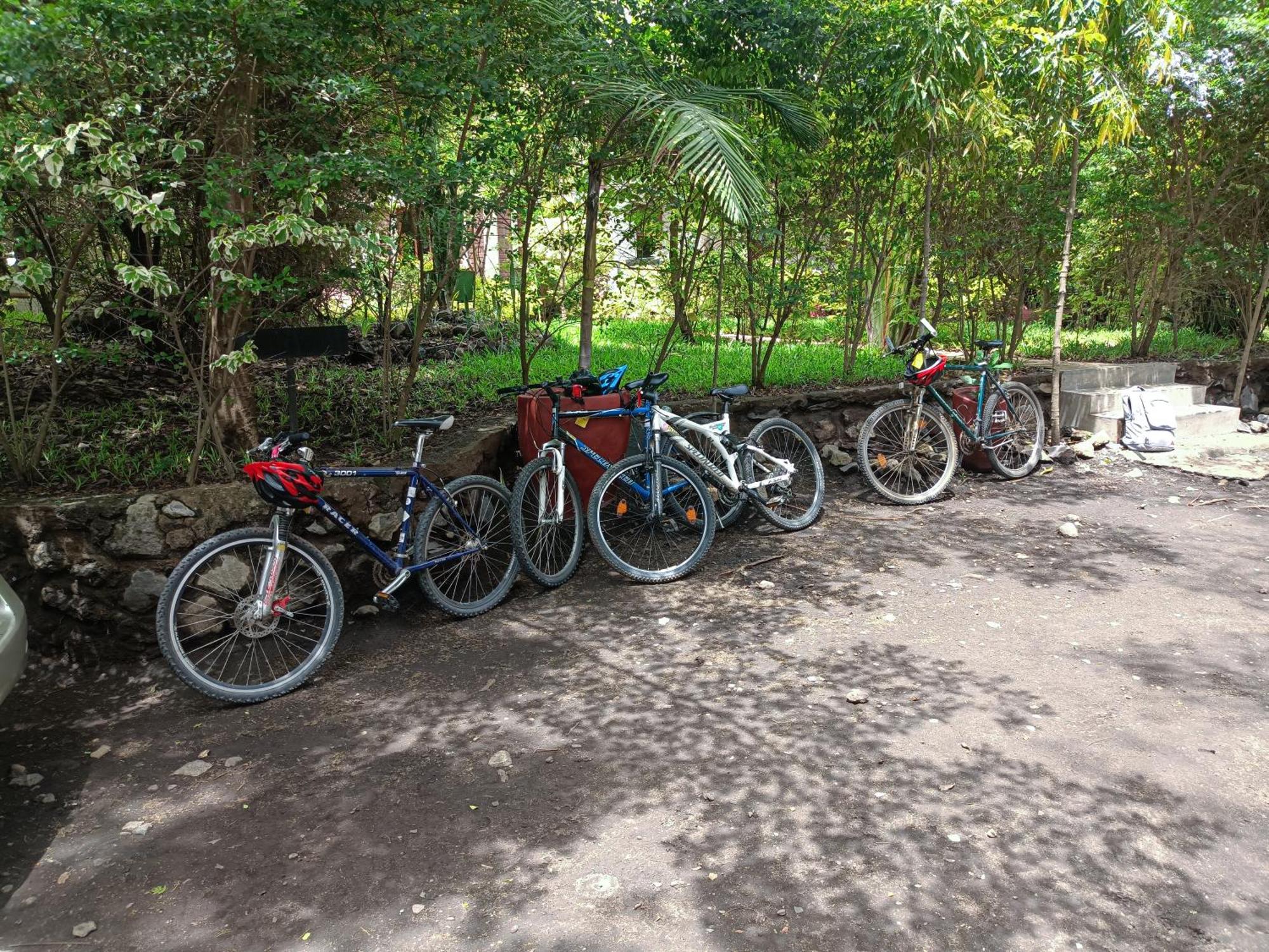 Shamba Hostel Usa River Εξωτερικό φωτογραφία