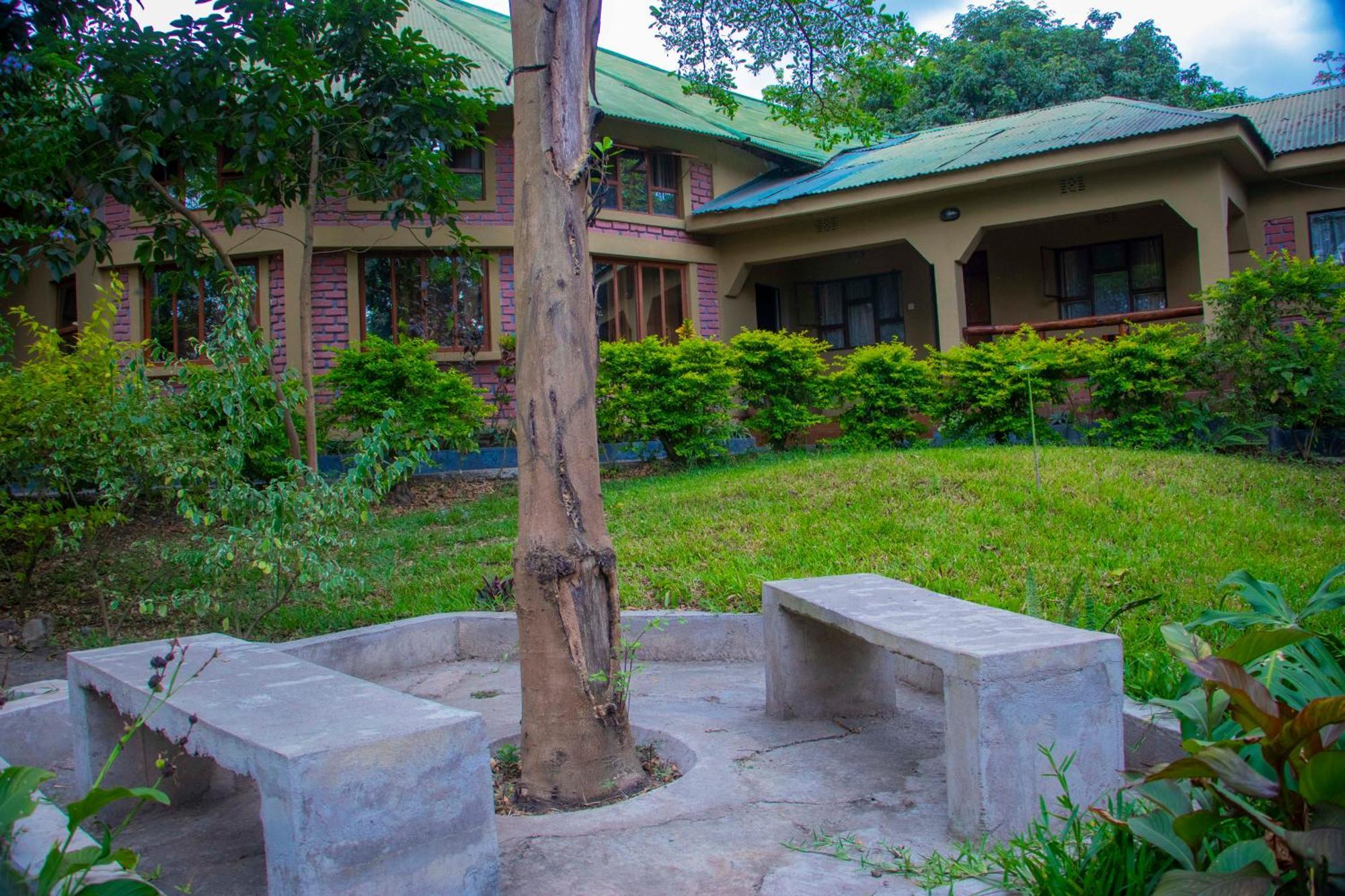 Shamba Hostel Usa River Εξωτερικό φωτογραφία