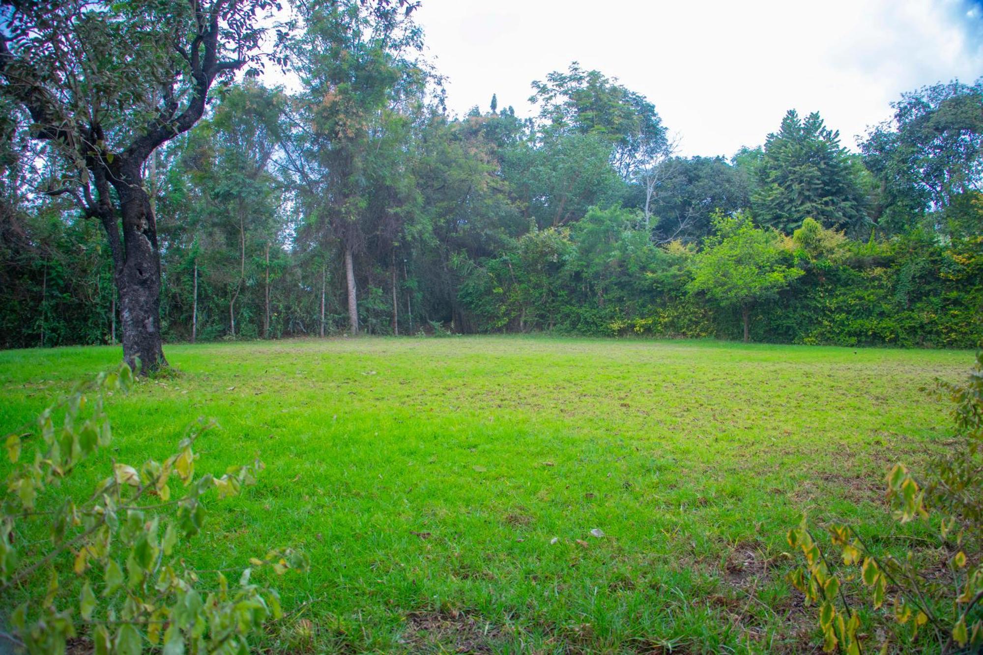 Shamba Hostel Usa River Εξωτερικό φωτογραφία