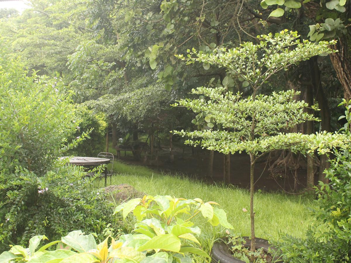 Shamba Hostel Usa River Εξωτερικό φωτογραφία