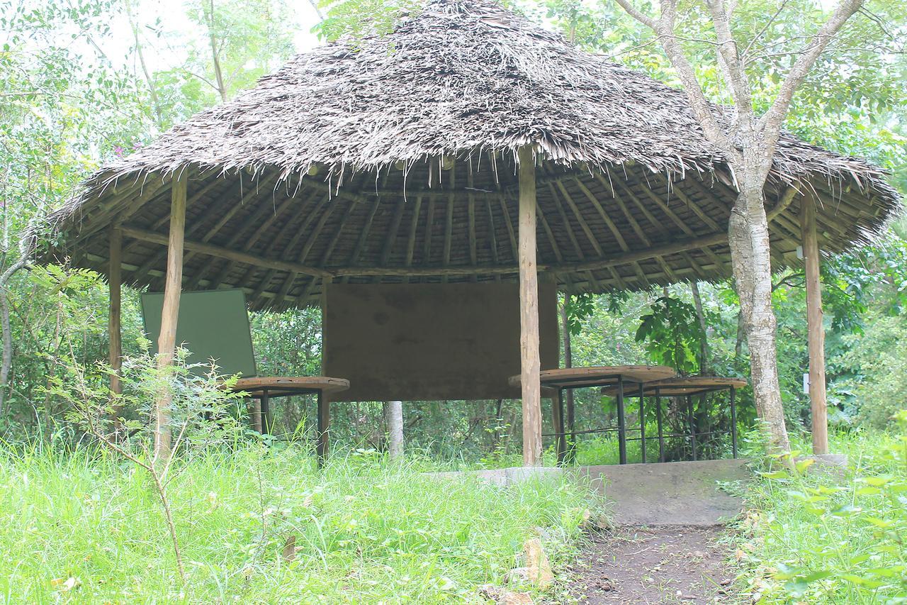 Shamba Hostel Usa River Εξωτερικό φωτογραφία