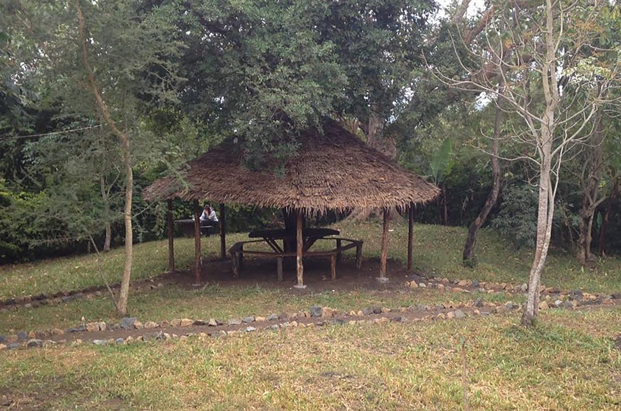 Shamba Hostel Usa River Εξωτερικό φωτογραφία