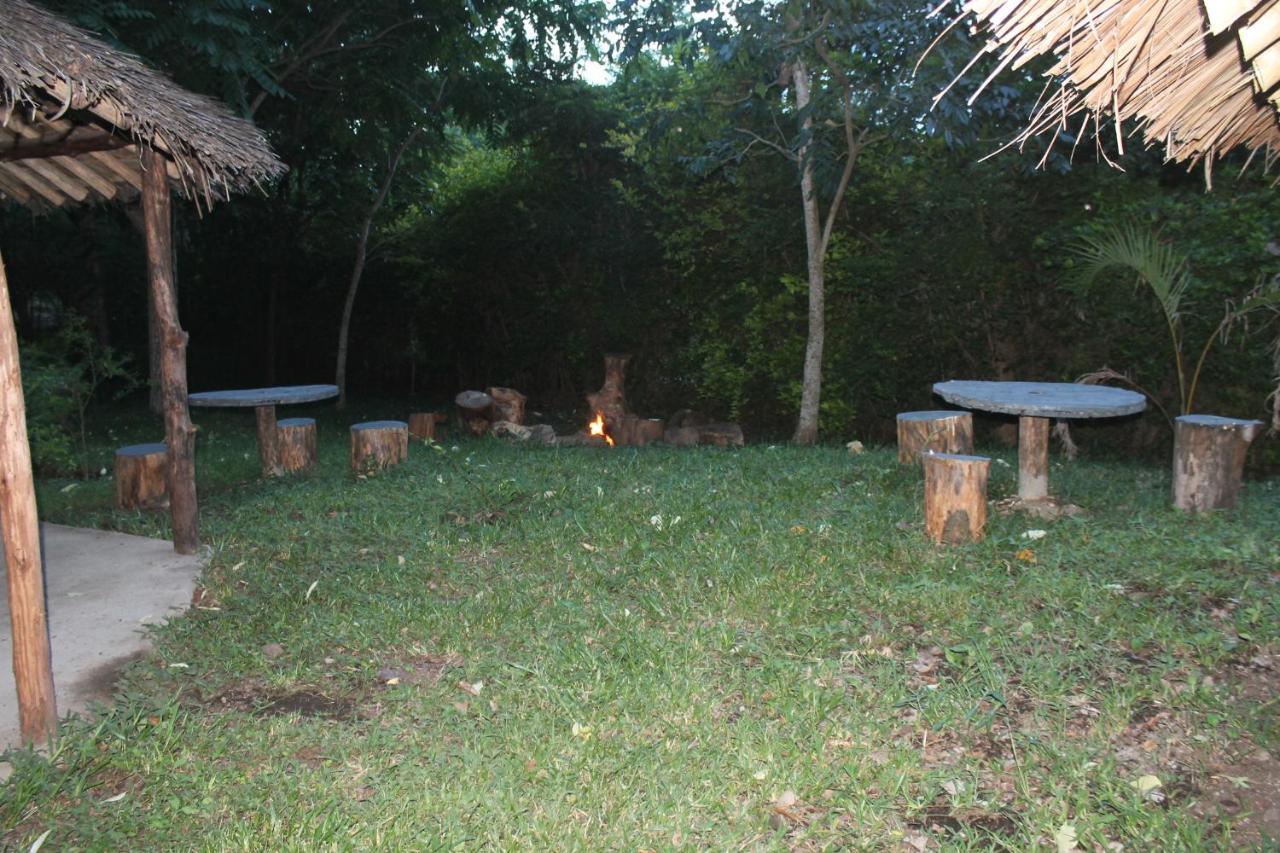 Shamba Hostel Usa River Εξωτερικό φωτογραφία